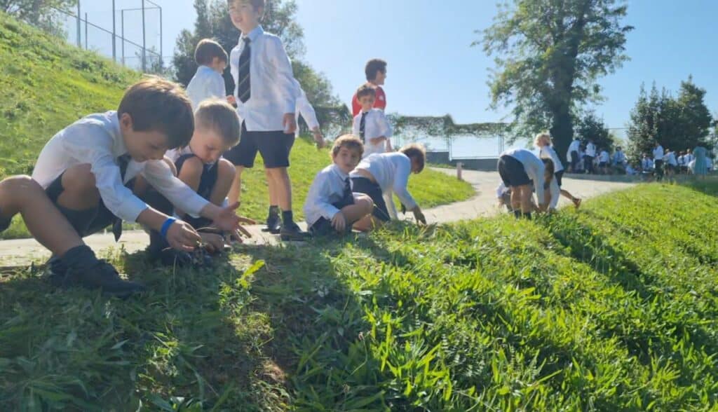 gaztelueta huerto primaria 2