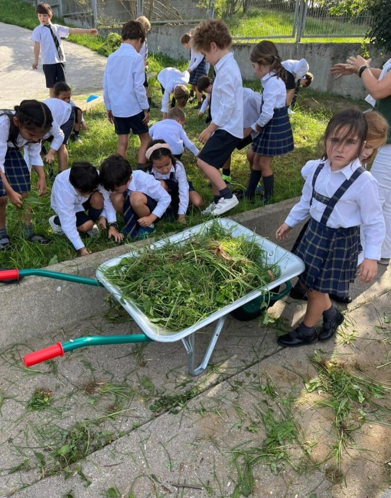 gaztelueta huerto primaria 3